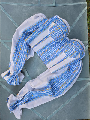 Woman embroidery blue corset 