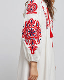 Woman embroidery dress / modern design