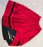 Reversable skirt "Sofia" / replica of Antique skirt / Lesya Ukrainka style / S-L