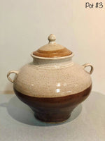 Pottery Pot